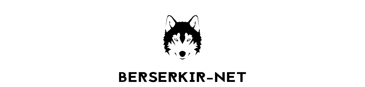 admin.berserkir.net